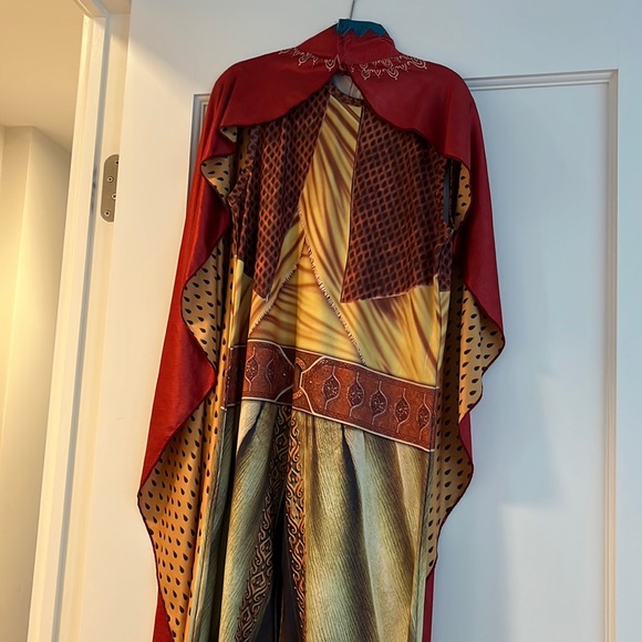 Girls Size 12 Zhi Xuan tong Ray and the Last Dragon Costume - Picture 1 of 6